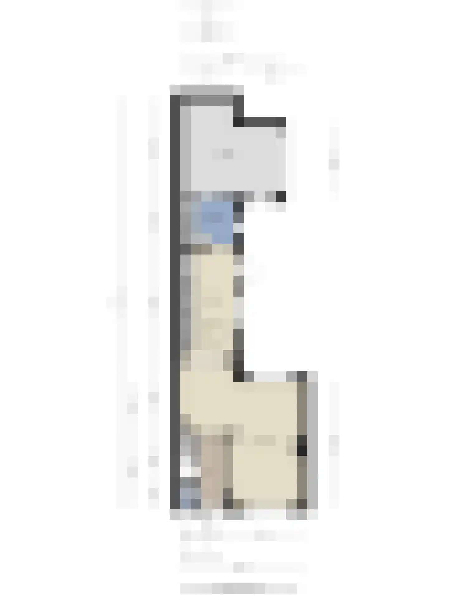 Hollandiastraat 2 Sas van Gent thumbnail 27