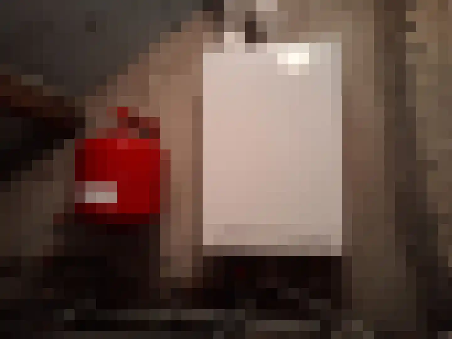 Hollandiastraat 2 Sas van Gent thumbnail 29