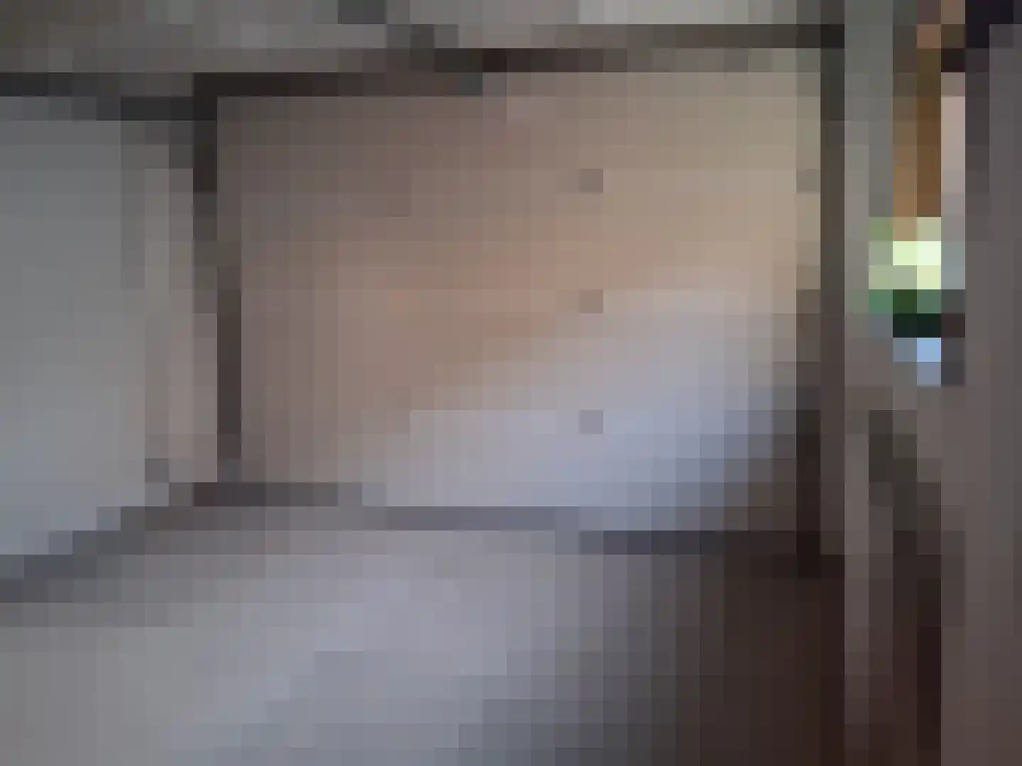 Hollandiastraat 2 Sas van Gent thumbnail 33