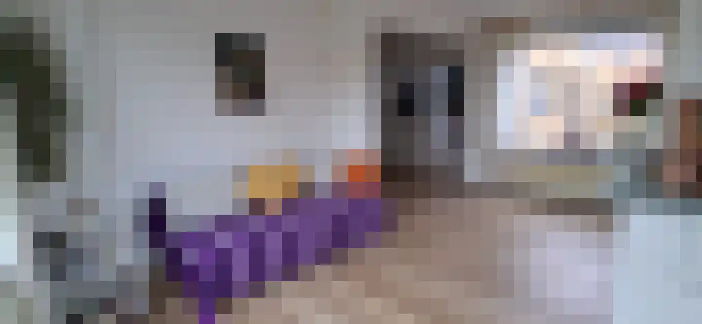 Hollandiastraat 2 Sas van Gent thumbnail 36