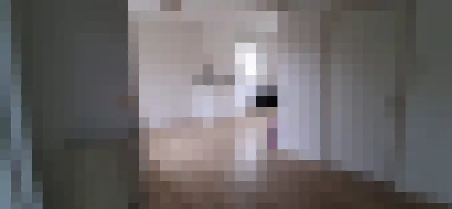 Hollandiastraat 2 Sas van Gent thumbnail 37