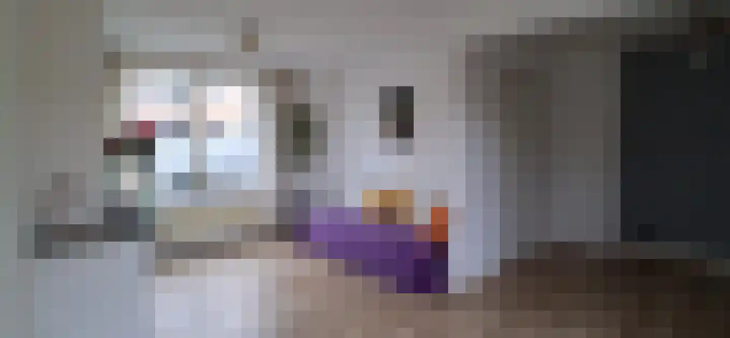 Hollandiastraat 2 Sas van Gent thumbnail 38