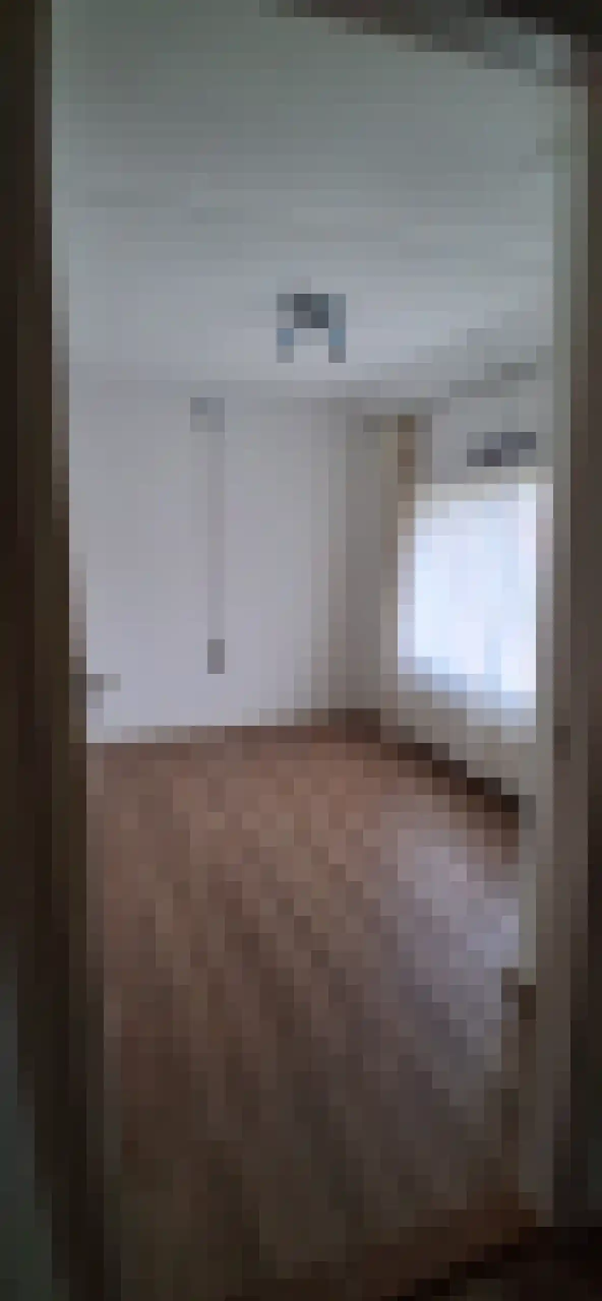Hollandiastraat 2 Sas van Gent thumbnail 39