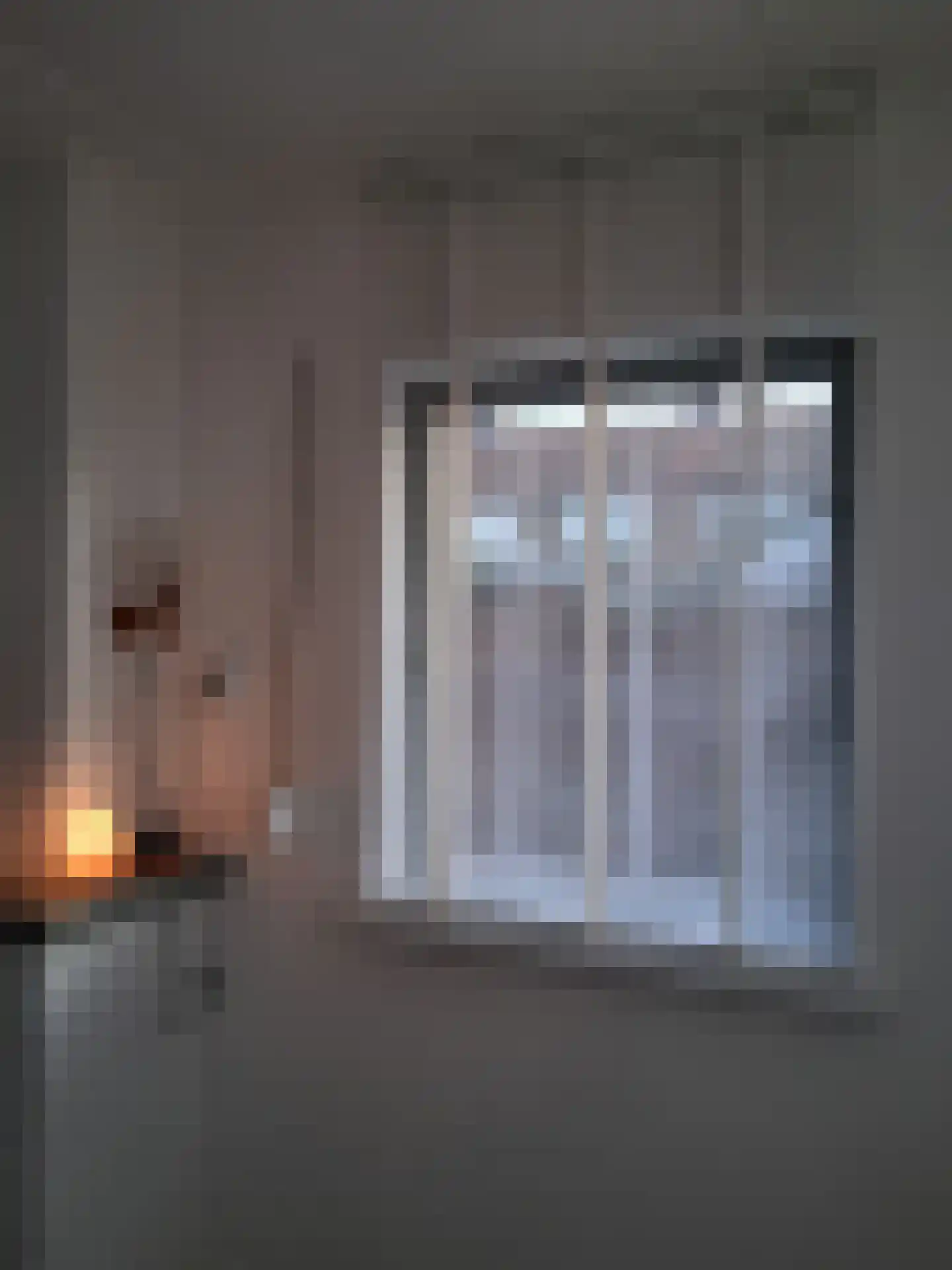 Hollandiastraat 2 Sas van Gent thumbnail 4
