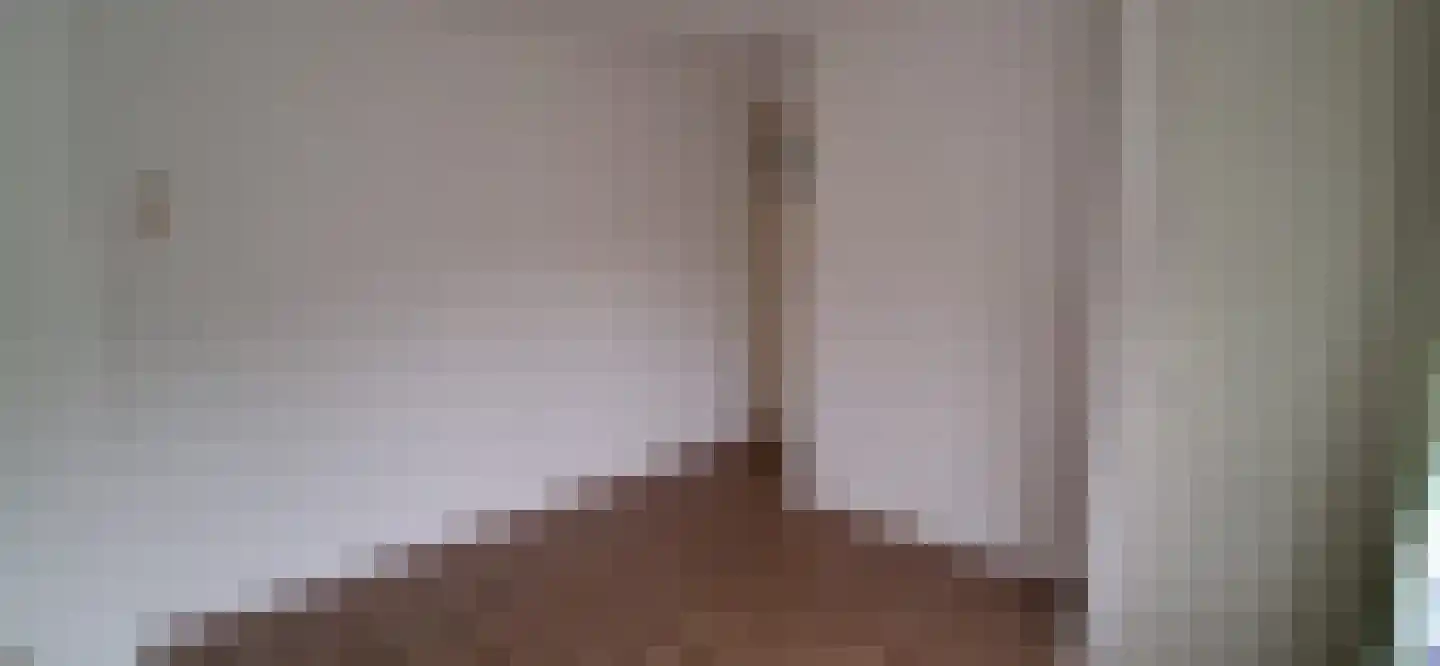 Hollandiastraat 2 Sas van Gent thumbnail 40