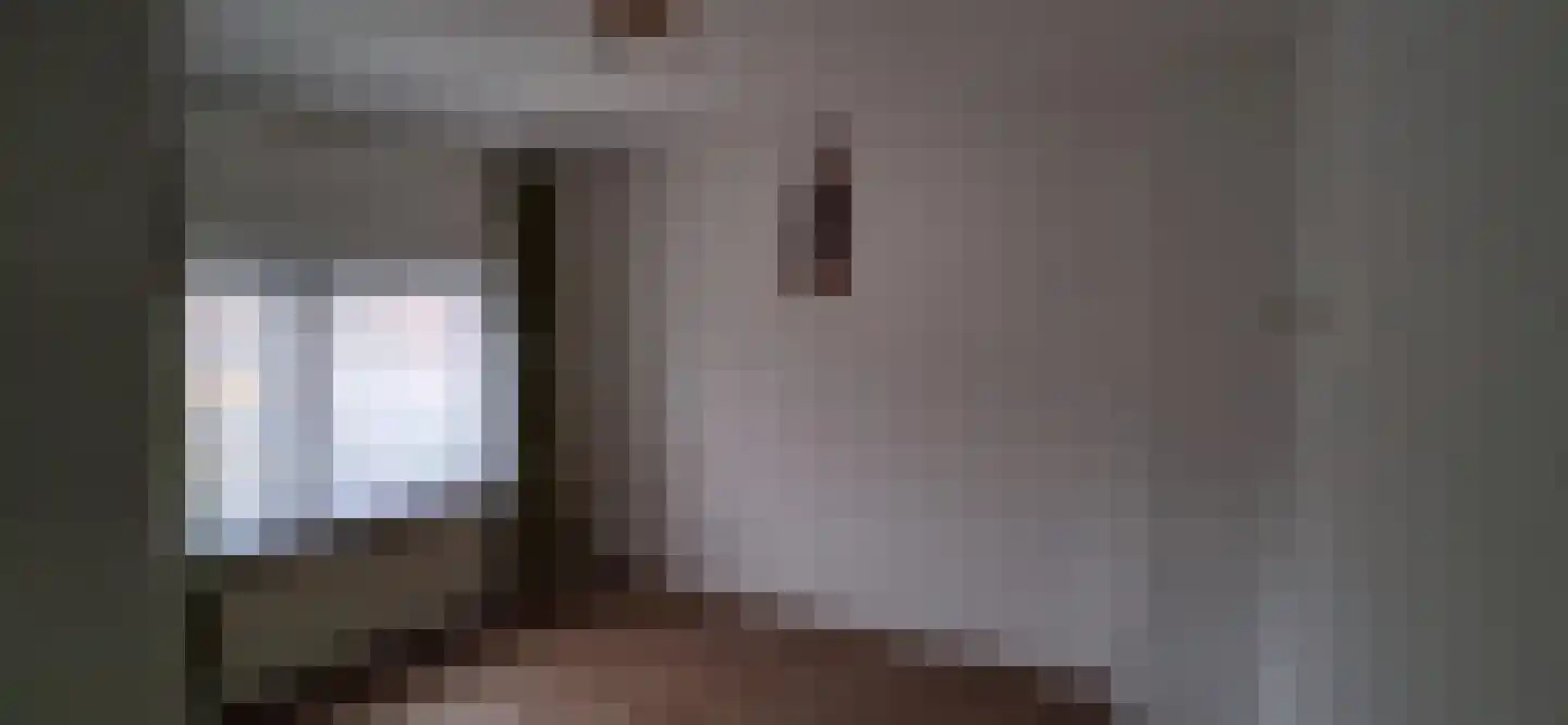 Hollandiastraat 2 Sas van Gent thumbnail 42