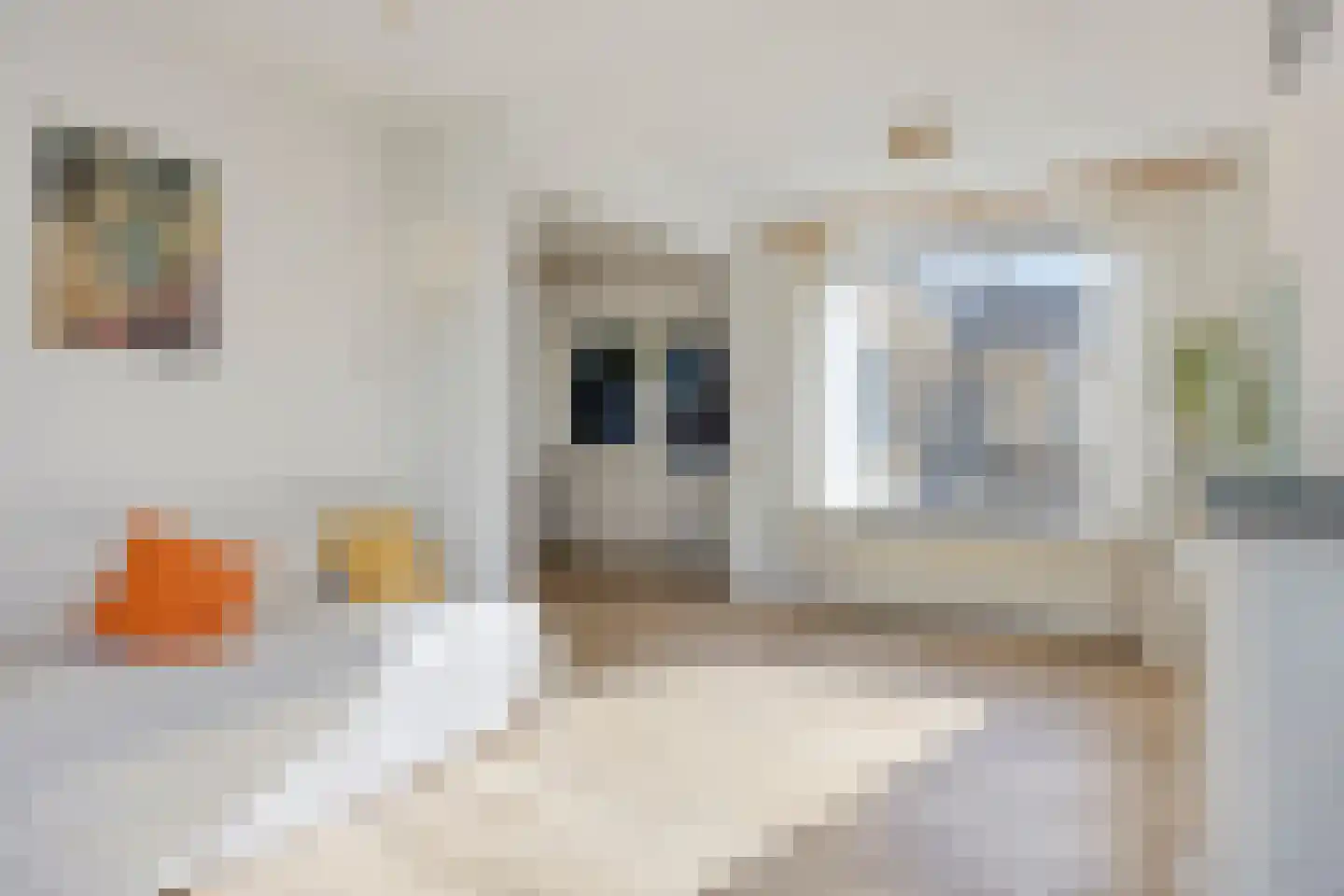 Hollandiastraat 2 Sas van Gent thumbnail 5
