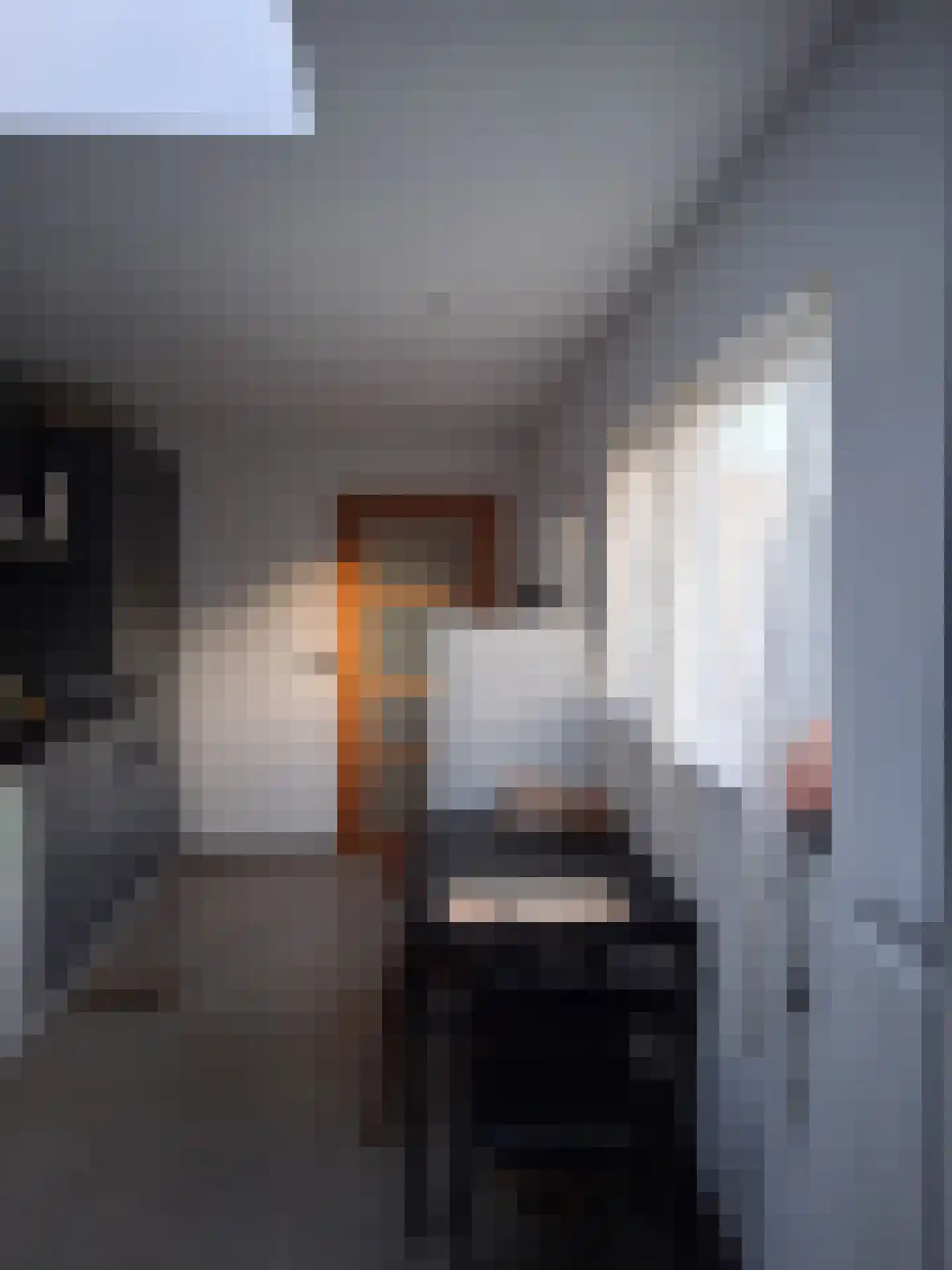 Hollandiastraat 2 Sas van Gent thumbnail 7