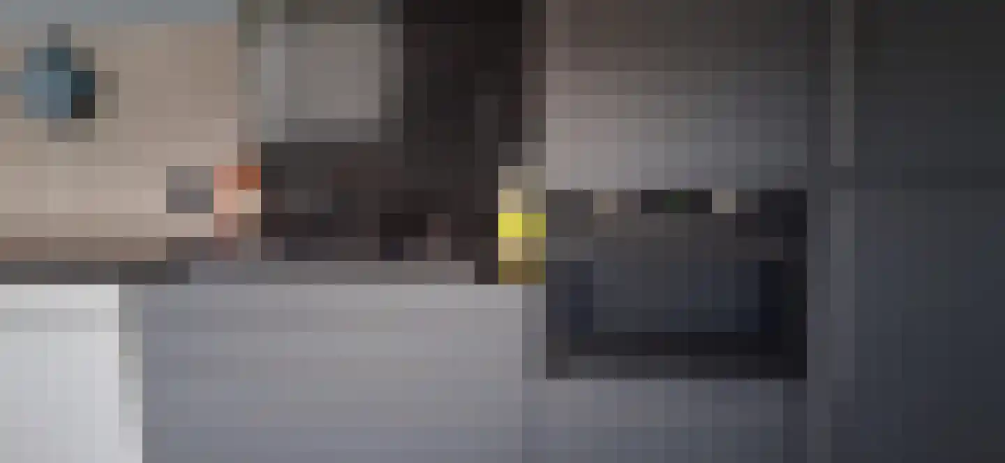 Hollandiastraat 2 Sas van Gent thumbnail 8