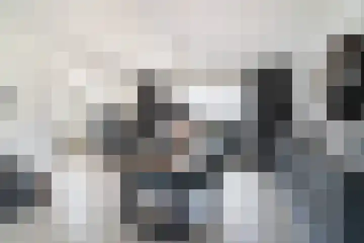 Hollandiastraat 2 Weert thumbnail 16