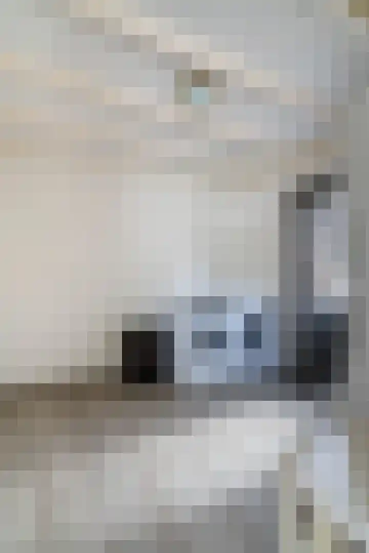 Hollandiastraat 2 Weert thumbnail 20