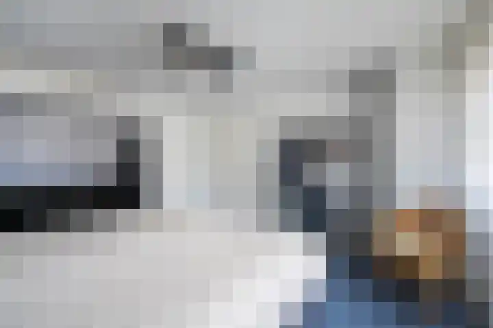 Hollandiastraat 2 Weert thumbnail 28