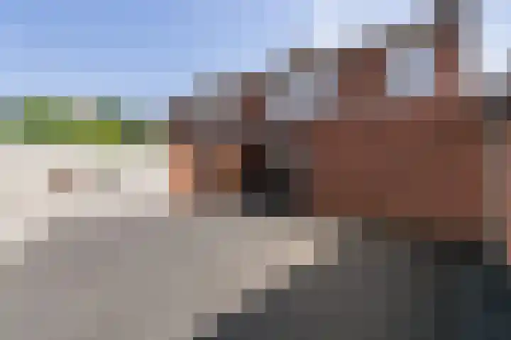 Hollandiastraat 2 Weert thumbnail 44
