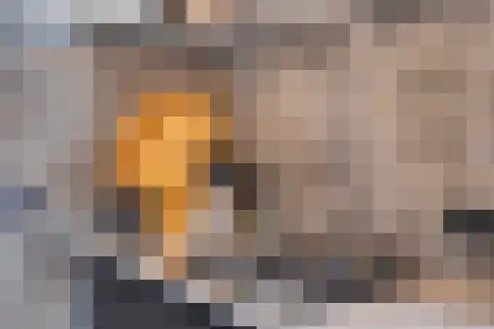 Hollandiastraat 34 Scharsterbrug thumbnail 10