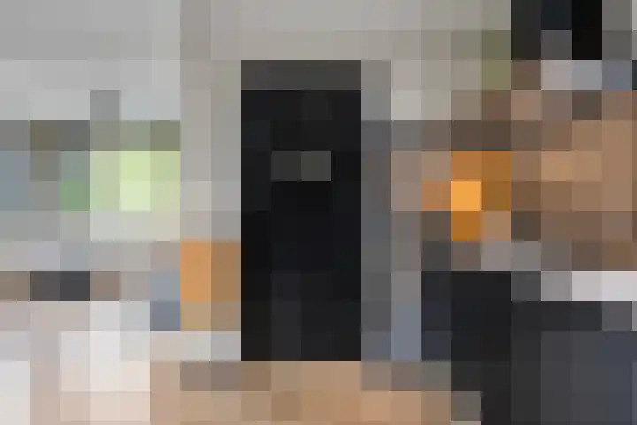 Hollandiastraat 34 Scharsterbrug thumbnail 13