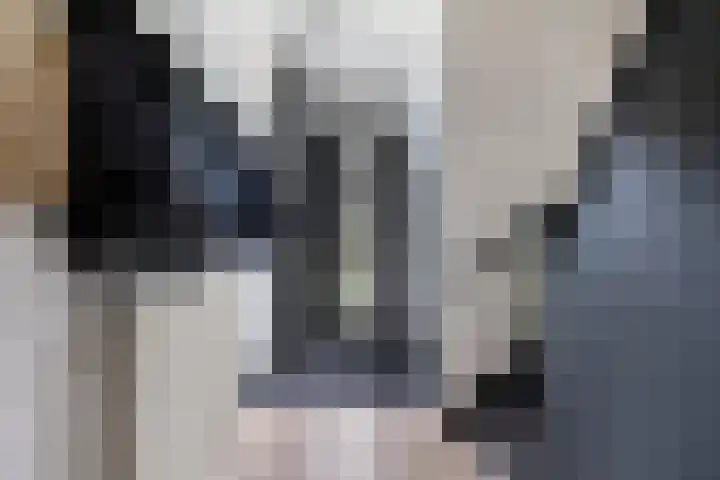 Hollandiastraat 34 Scharsterbrug thumbnail 17