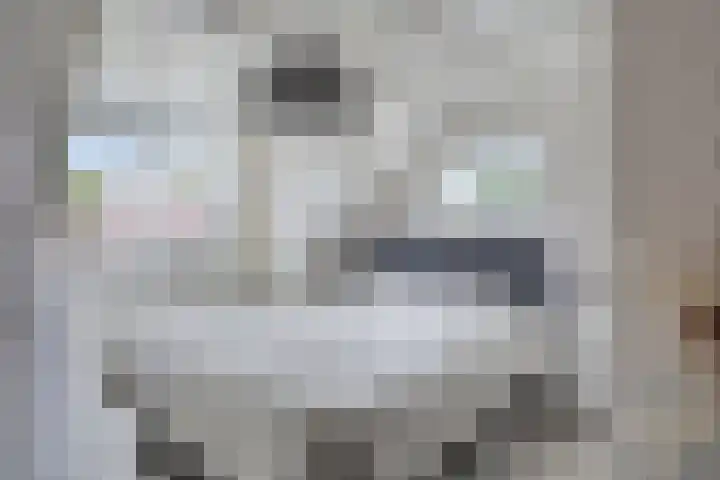 Hollandiastraat 34 Scharsterbrug thumbnail 20