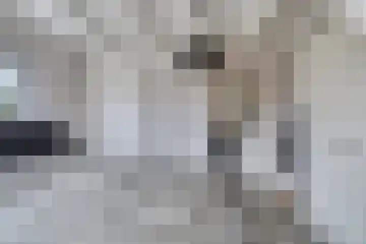 Hollandiastraat 34 Scharsterbrug thumbnail 21