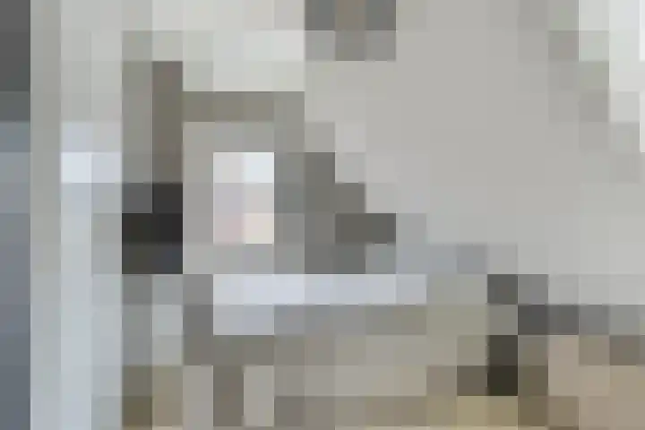 Hollandiastraat 34 Scharsterbrug thumbnail 23