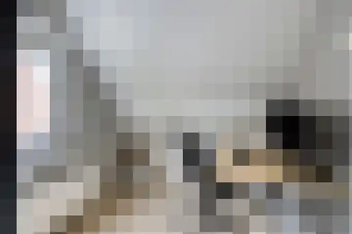 Hollandiastraat 34 Scharsterbrug thumbnail 24