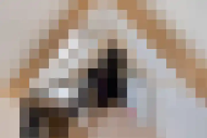 Hollandiastraat 34 Scharsterbrug thumbnail 27