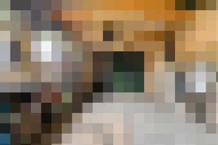 Hollandiastraat 34 Scharsterbrug thumbnail 31