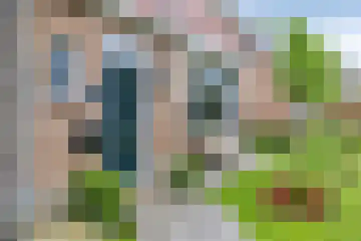 Hollandiastraat 34 Scharsterbrug thumbnail 38