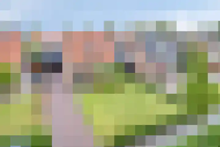 Hollandiastraat 34 Scharsterbrug thumbnail 39