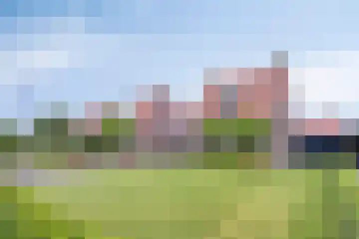 Hollandiastraat 34 Scharsterbrug thumbnail 40