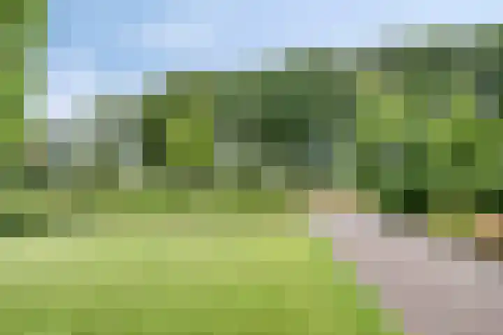 Hollandiastraat 34 Scharsterbrug thumbnail 41