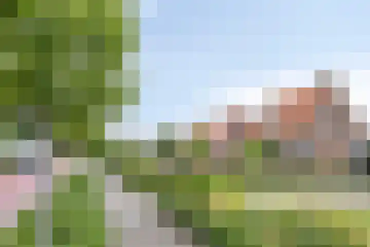 Hollandiastraat 34 Scharsterbrug thumbnail 42