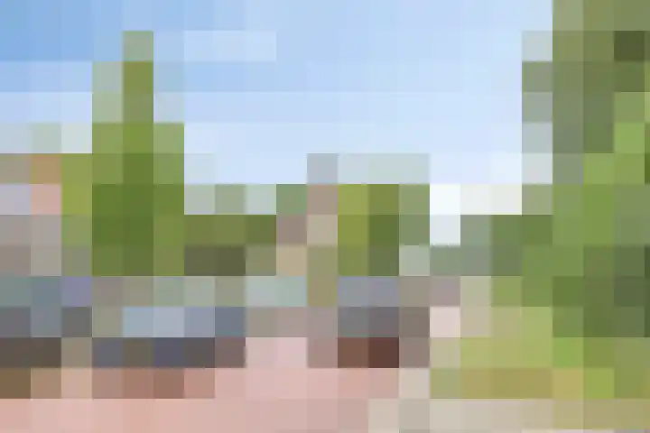 Hollandiastraat 34 Scharsterbrug thumbnail 43