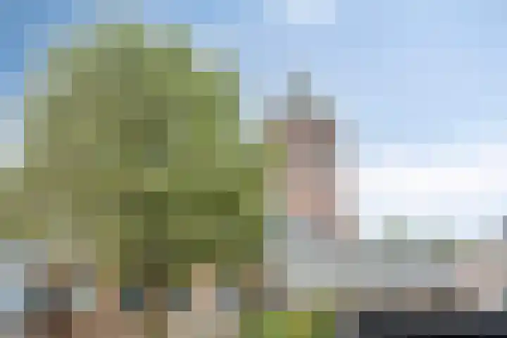Hollandiastraat 34 Scharsterbrug thumbnail 44