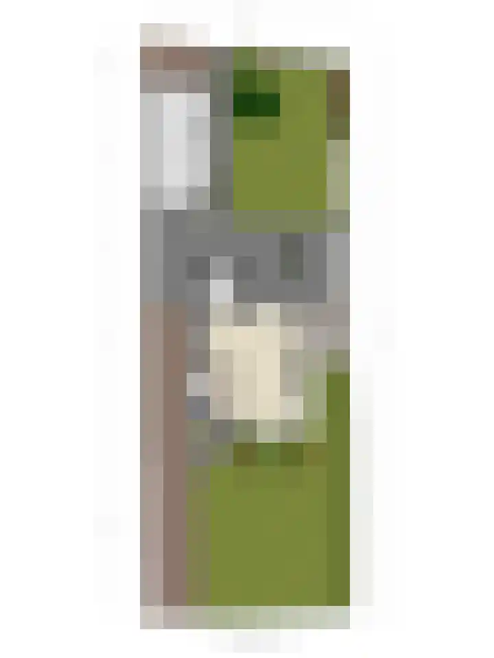Hollandiastraat 34 Scharsterbrug thumbnail 47
