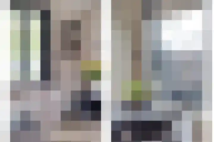 Hollandiastraat 34 Scharsterbrug thumbnail 5