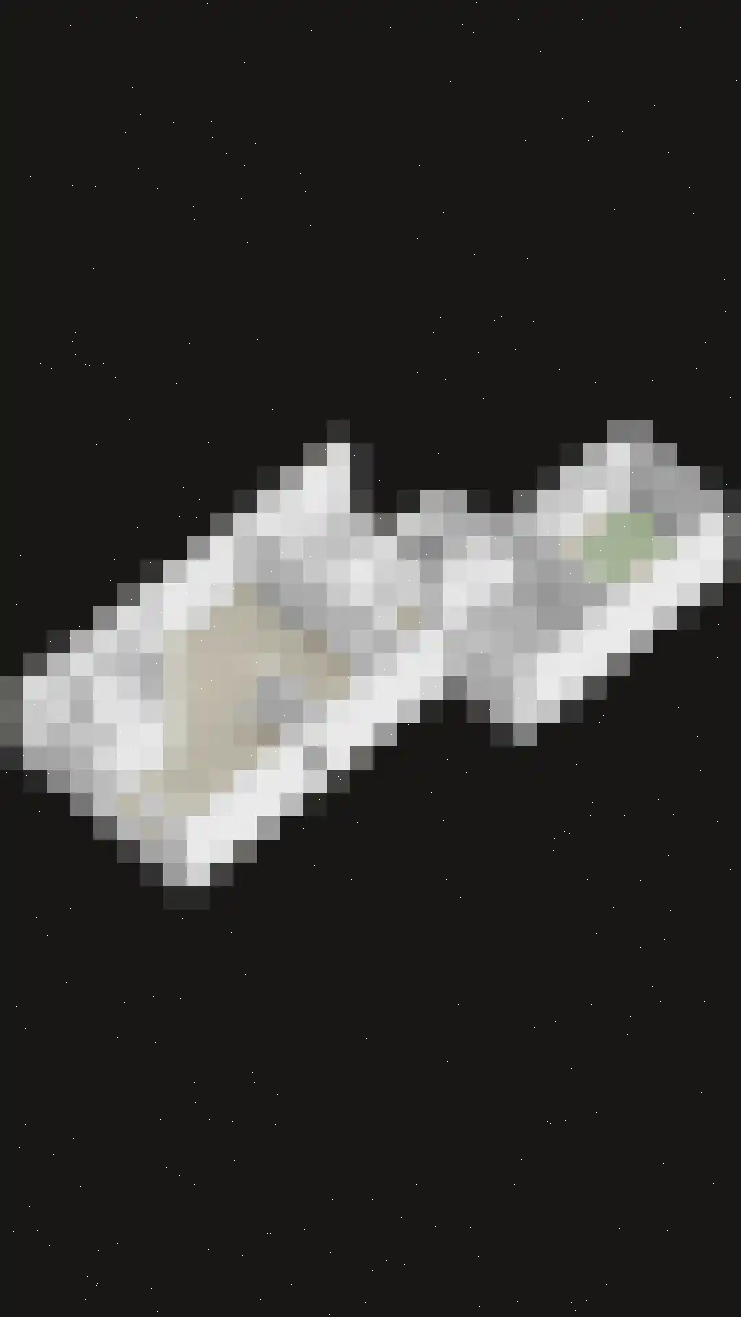 Hollandiastraat 4 Weert thumbnail 39