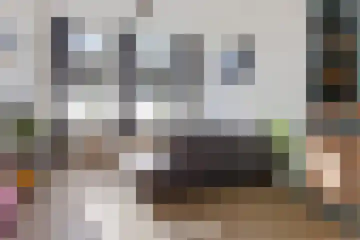 Hollandiastraat 41 Scharsterbrug thumbnail 10