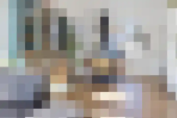 Hollandiastraat 41 Scharsterbrug thumbnail 12