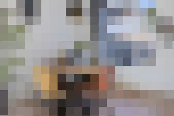 Hollandiastraat 41 Scharsterbrug thumbnail 13
