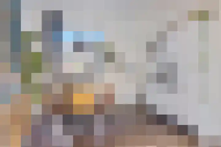Hollandiastraat 41 Scharsterbrug thumbnail 14