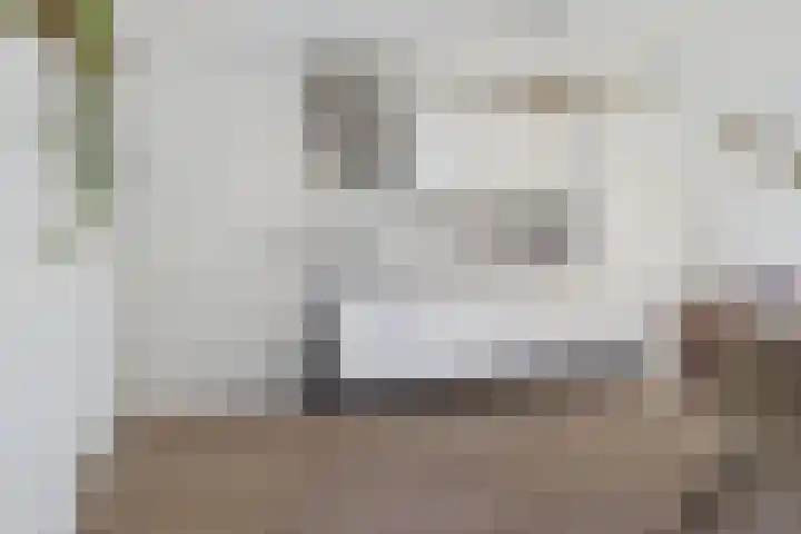 Hollandiastraat 41 Scharsterbrug thumbnail 15