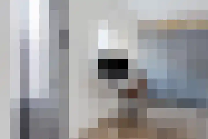 Hollandiastraat 41 Scharsterbrug thumbnail 20