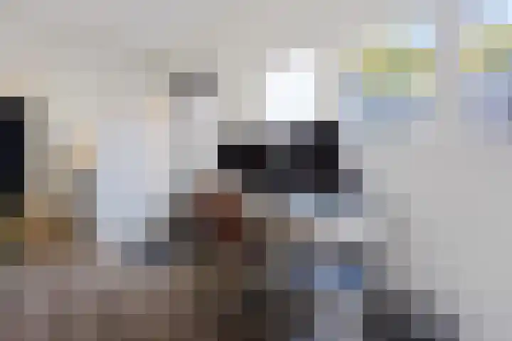Hollandiastraat 41 Scharsterbrug thumbnail 21