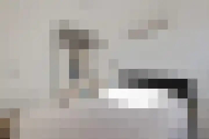 Hollandiastraat 41 Scharsterbrug thumbnail 28