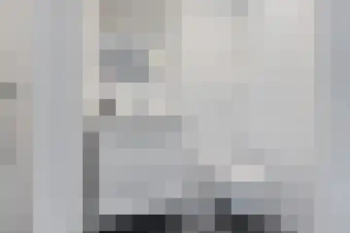 Hollandiastraat 41 Scharsterbrug thumbnail 30