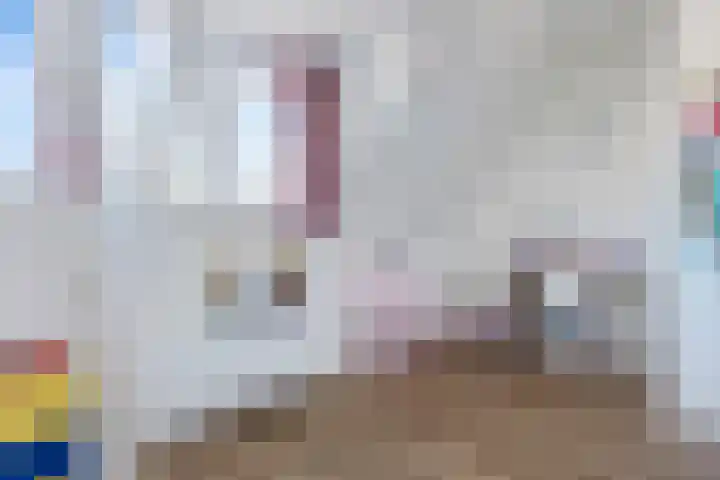 Hollandiastraat 41 Scharsterbrug thumbnail 33