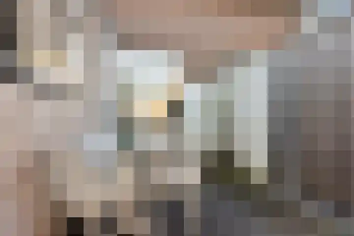 Hollandiastraat 41 Scharsterbrug thumbnail 38