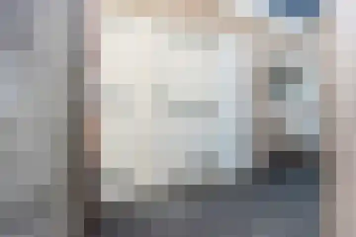 Hollandiastraat 41 Scharsterbrug thumbnail 39