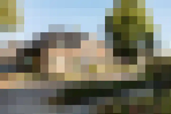 Hollandiastraat 41 Scharsterbrug thumbnail 40