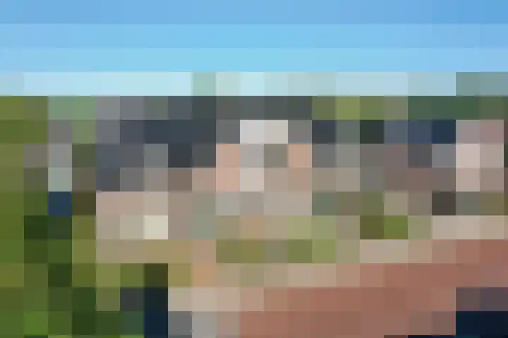 Hollandiastraat 41 Scharsterbrug thumbnail 41